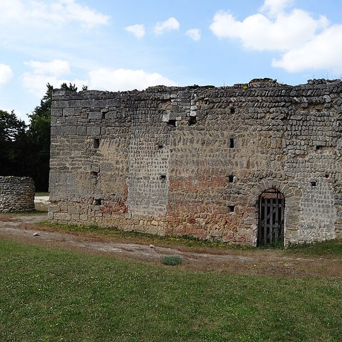 Photo de Motte féodale et donjon restes