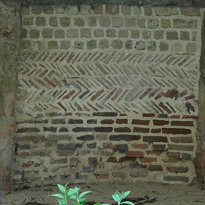 Photo de Motte féodale et donjon restes