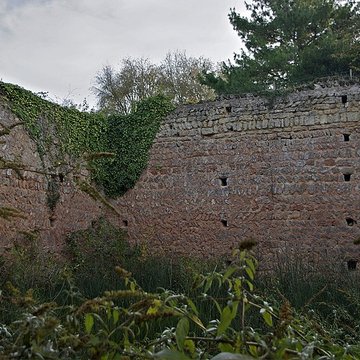 Motte féodale et donjon restes