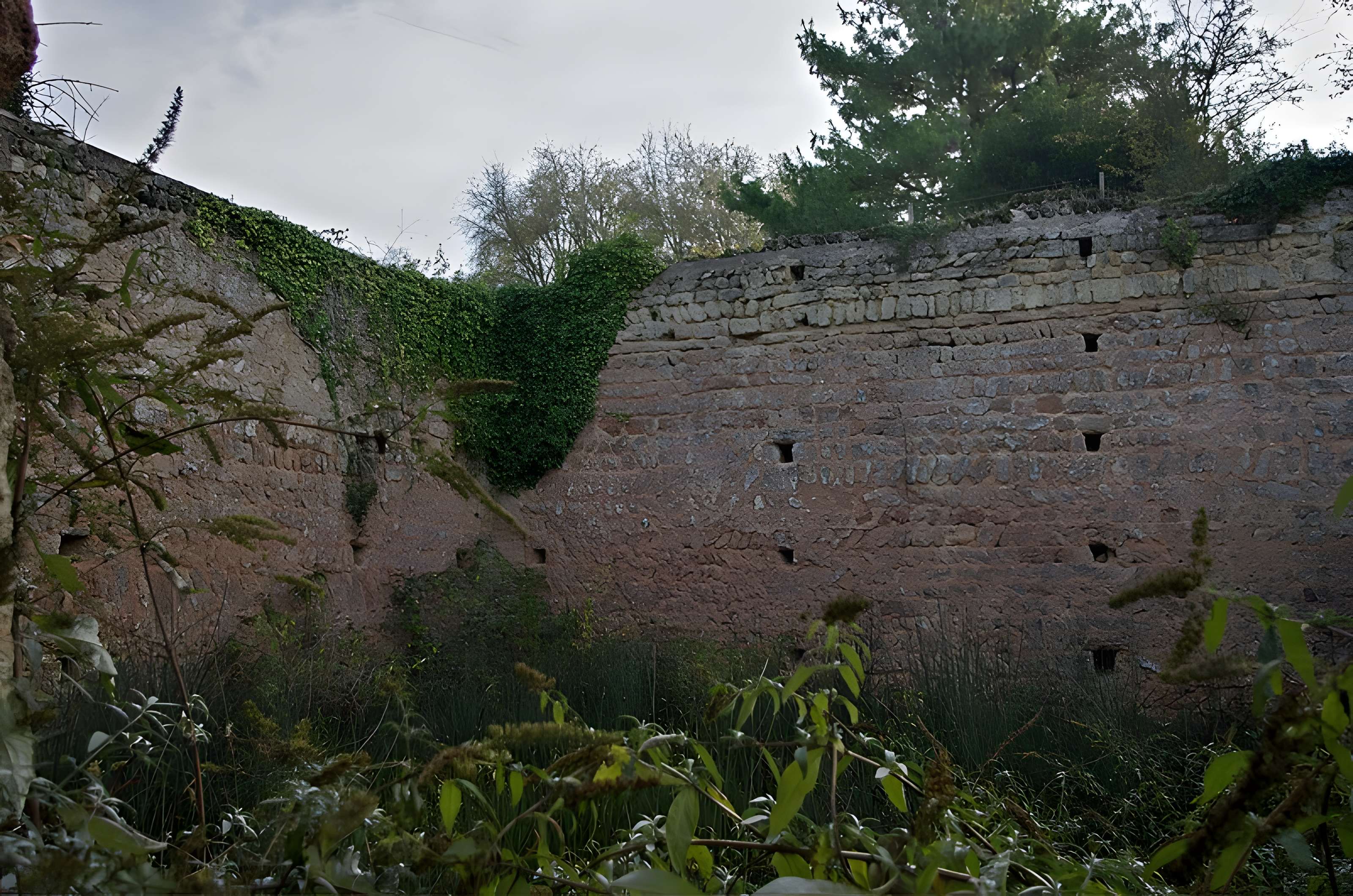 Motte féodale et donjon (restes)