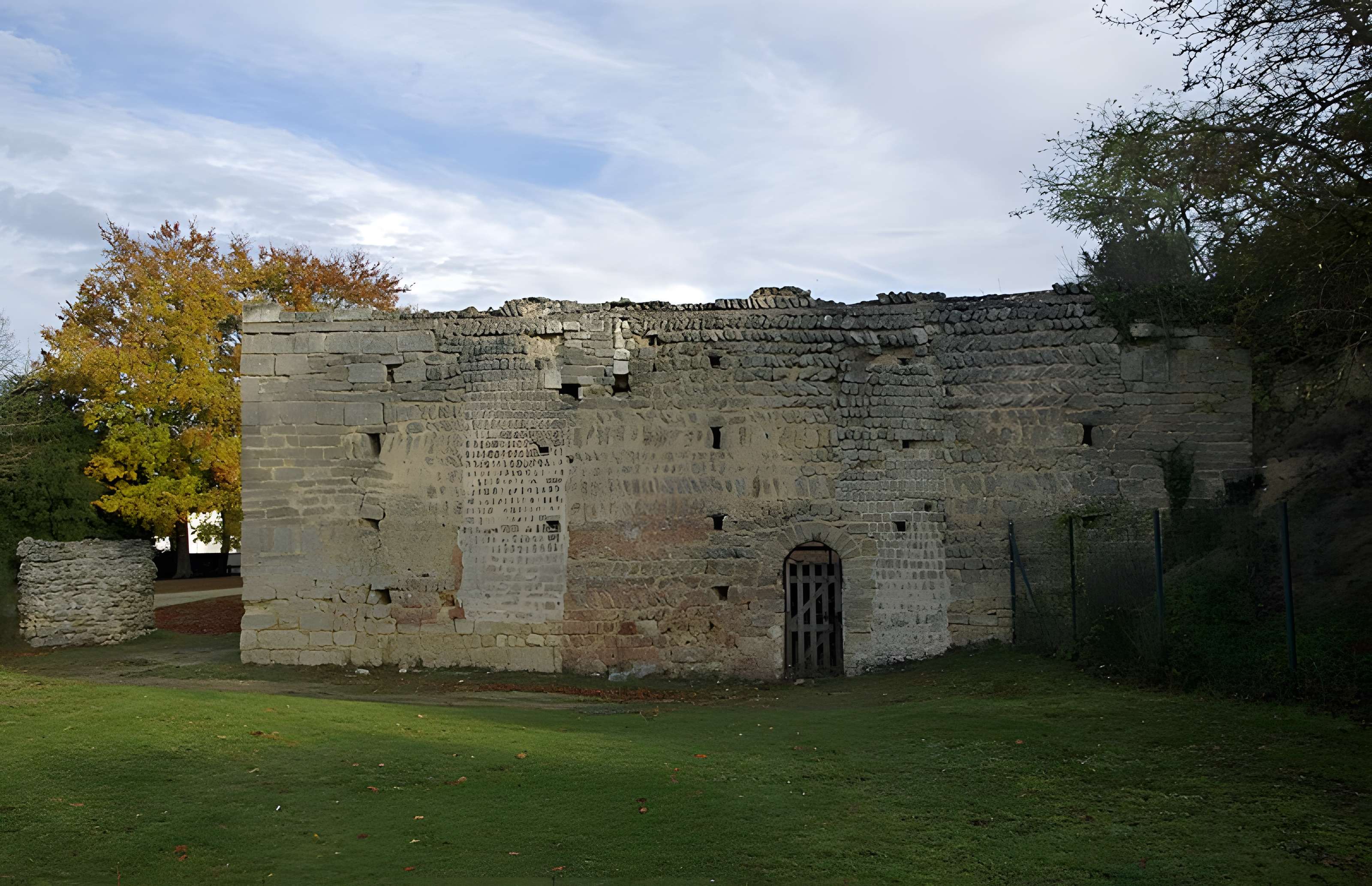 Motte féodale et donjon (restes)