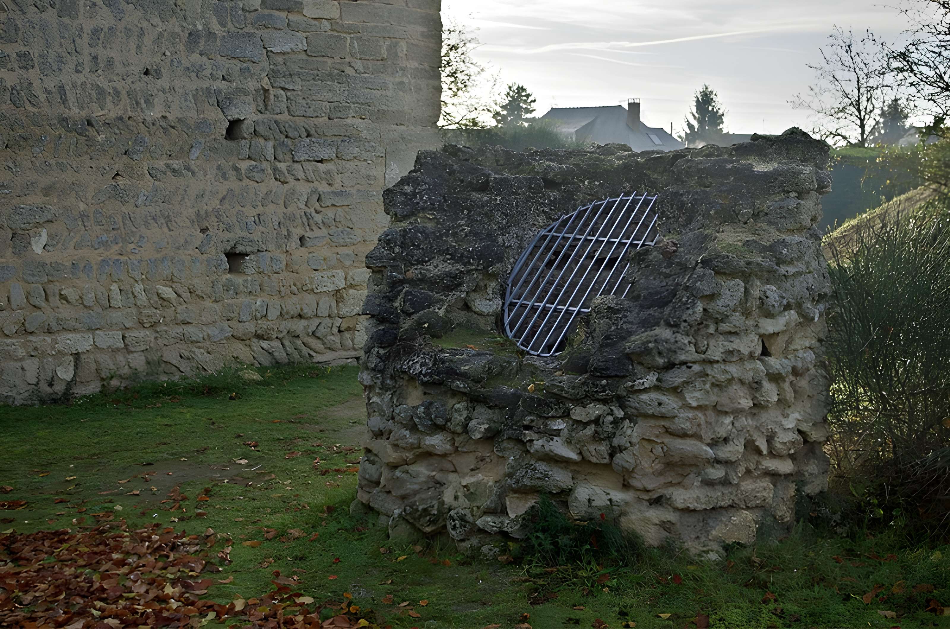 Motte féodale et donjon (restes)