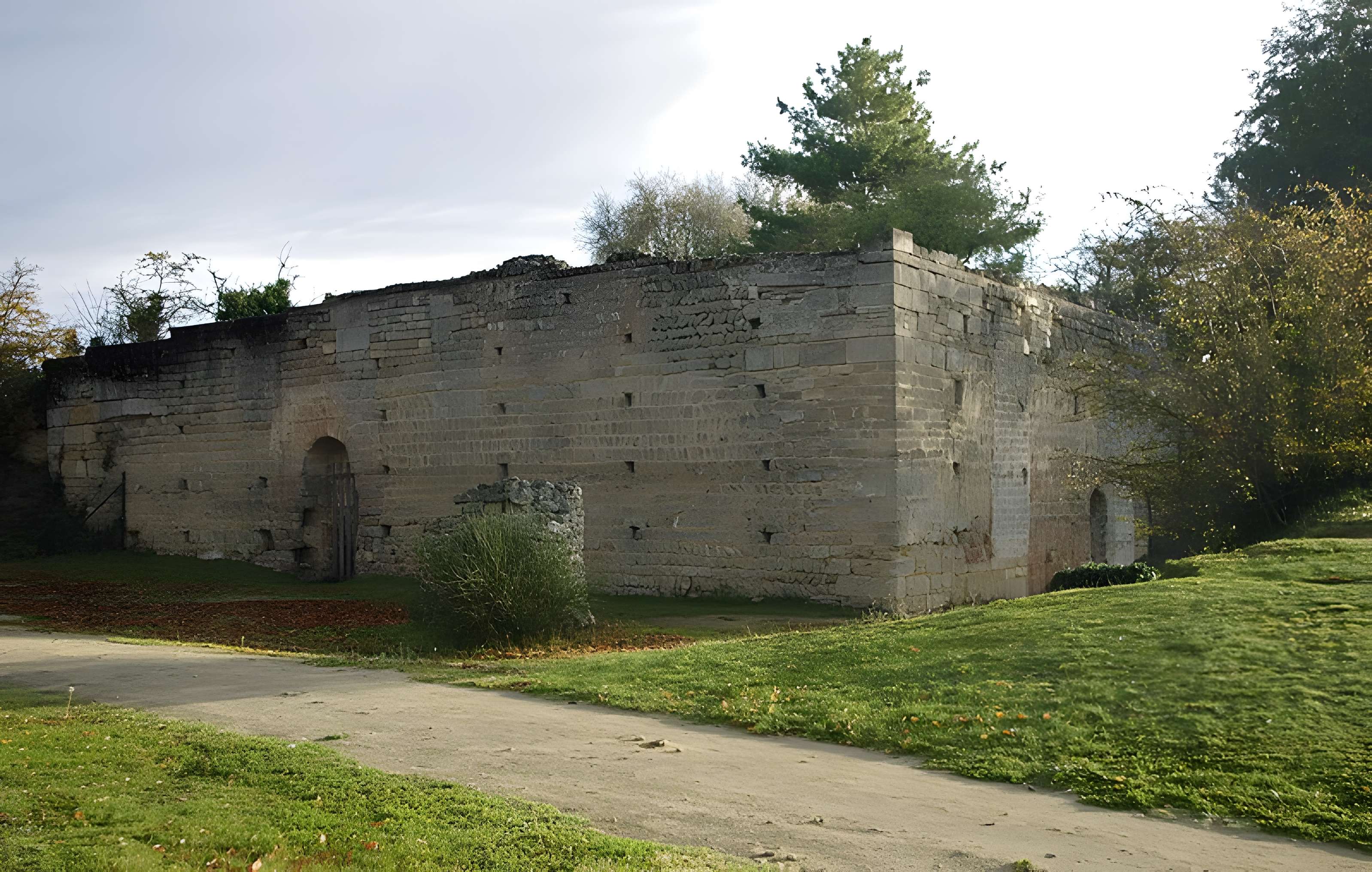 Motte féodale et donjon (restes)