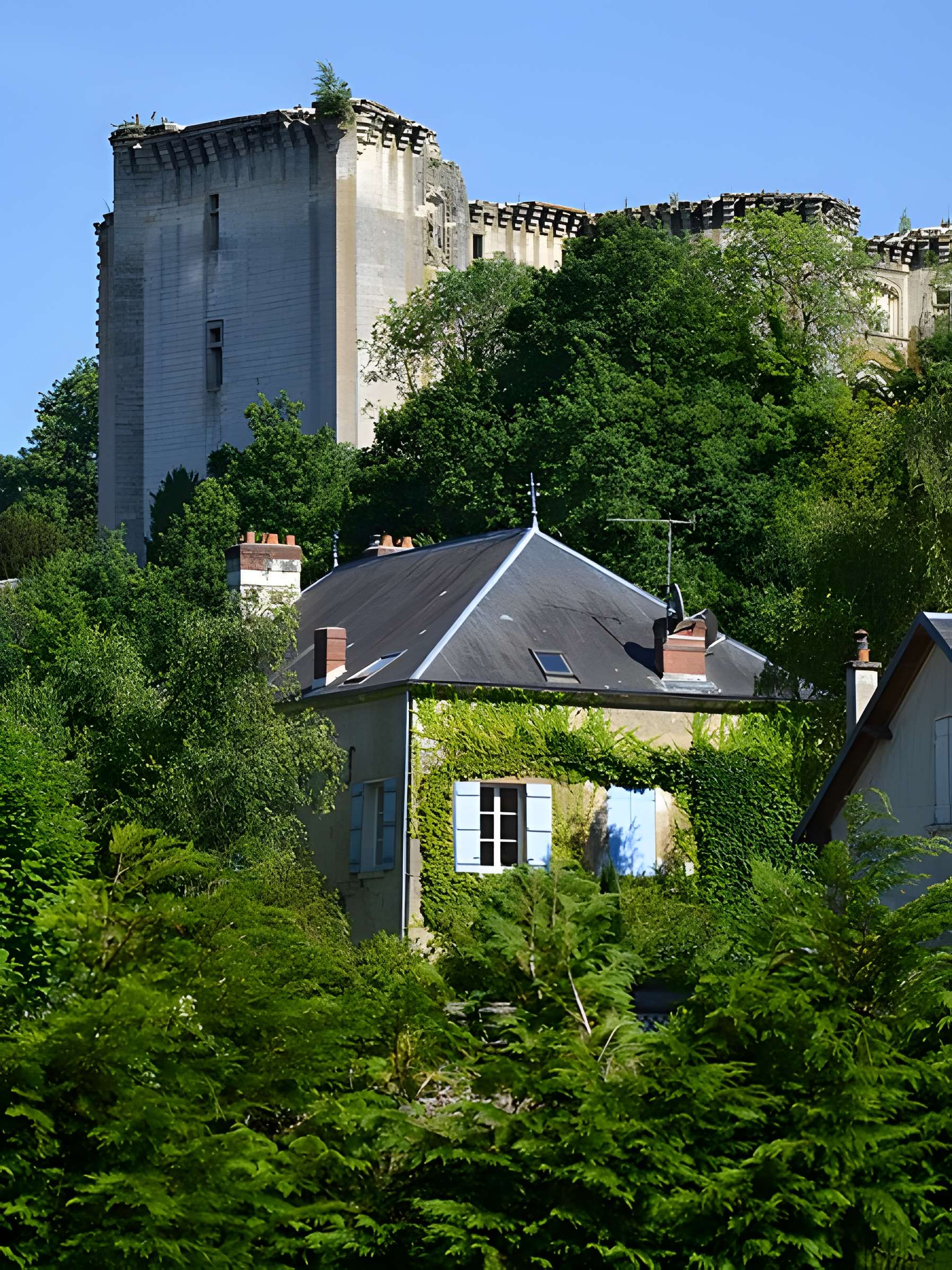 Château de La Ferté-Milon