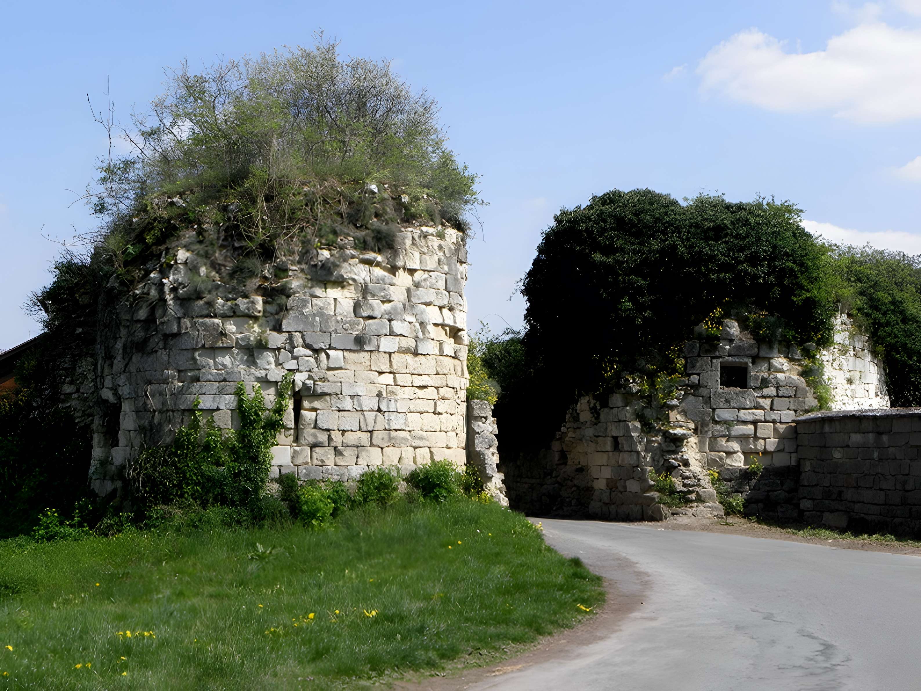 Château de La Ferté-Milon
