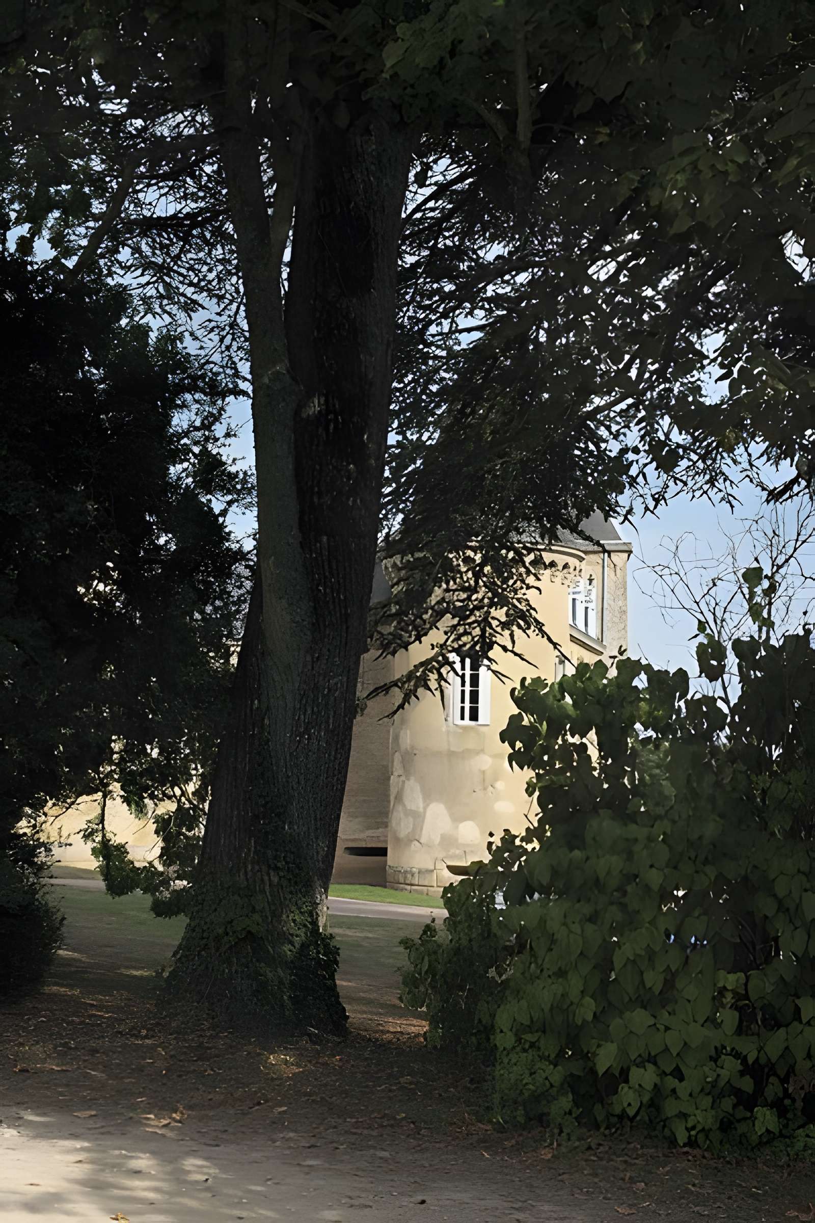 Château de Dracy-lès-Couches