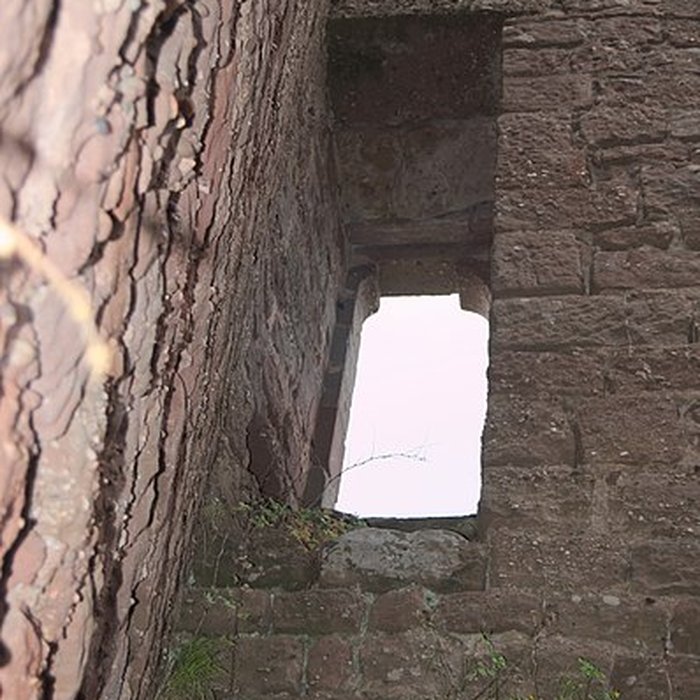 Photo de Château de Dreistein