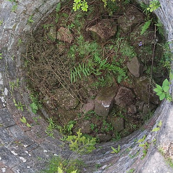 Photo de Château de Dreistein