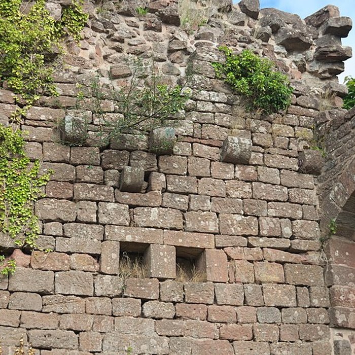 Photo de Château de Dreistein