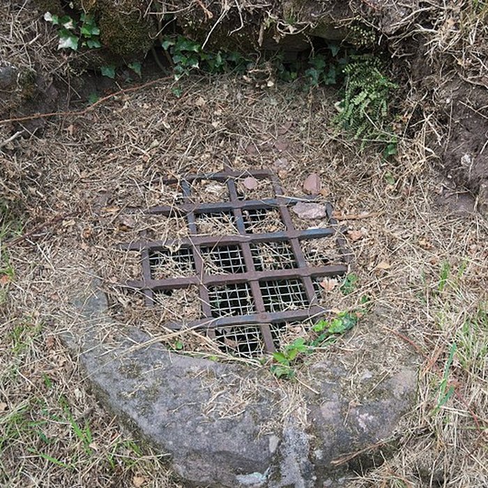 Photo de Château de Dreistein