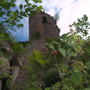 Château de Dreistein