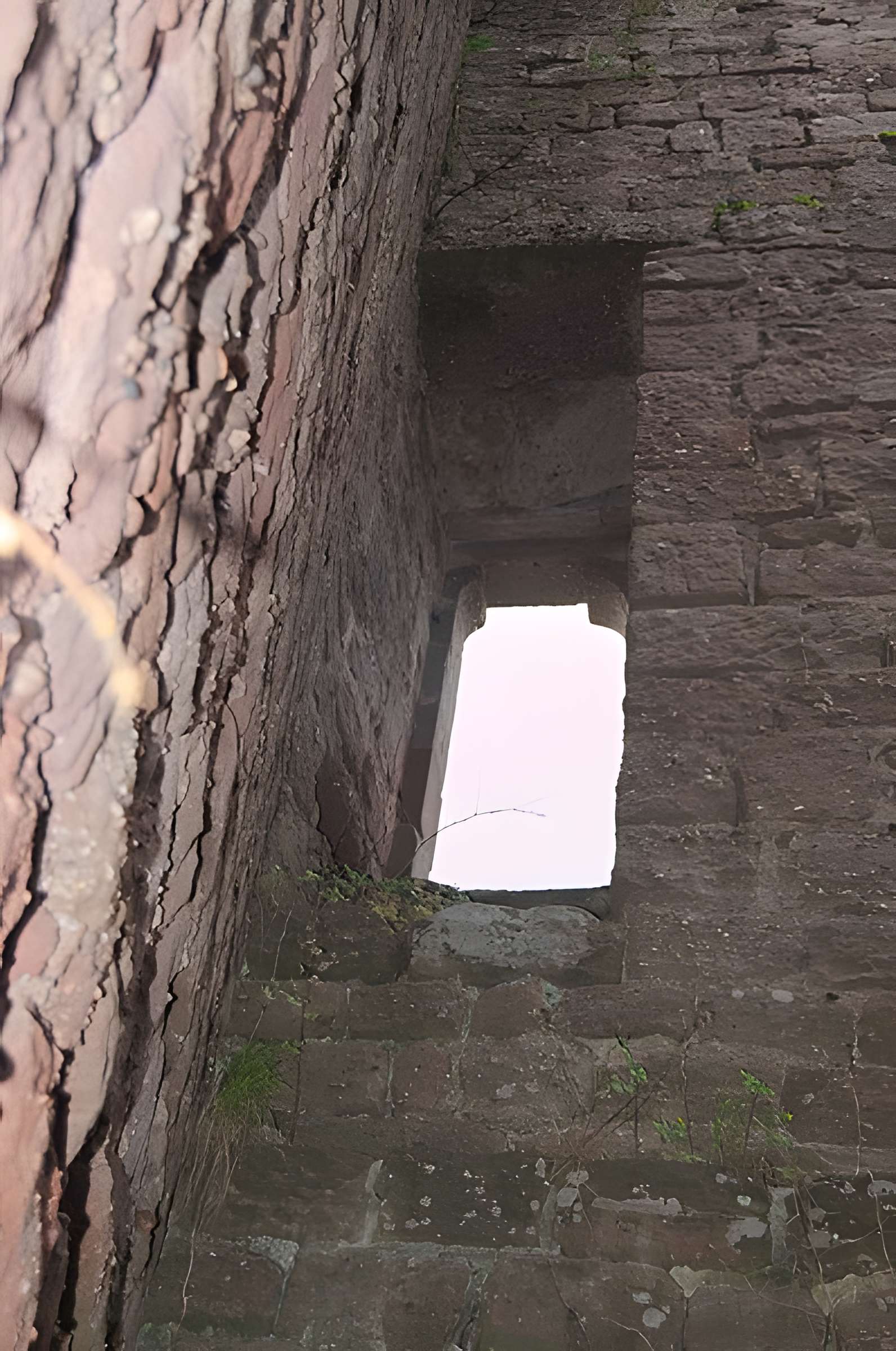 Château de Dreistein