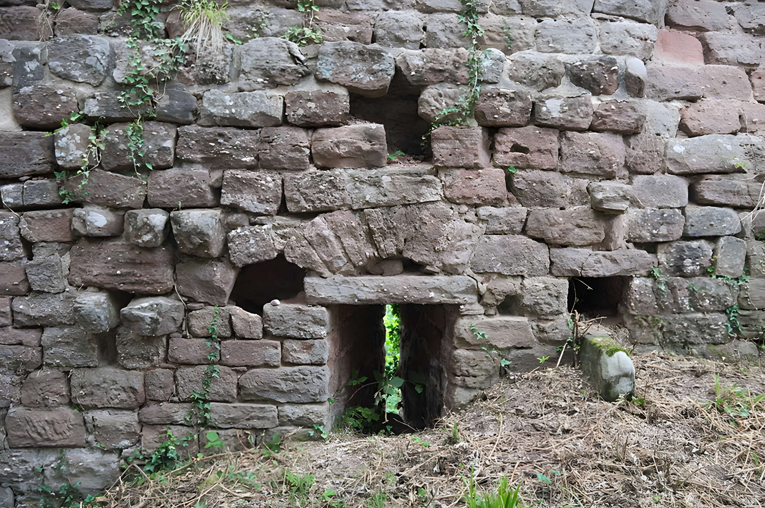 Château de Dreistein