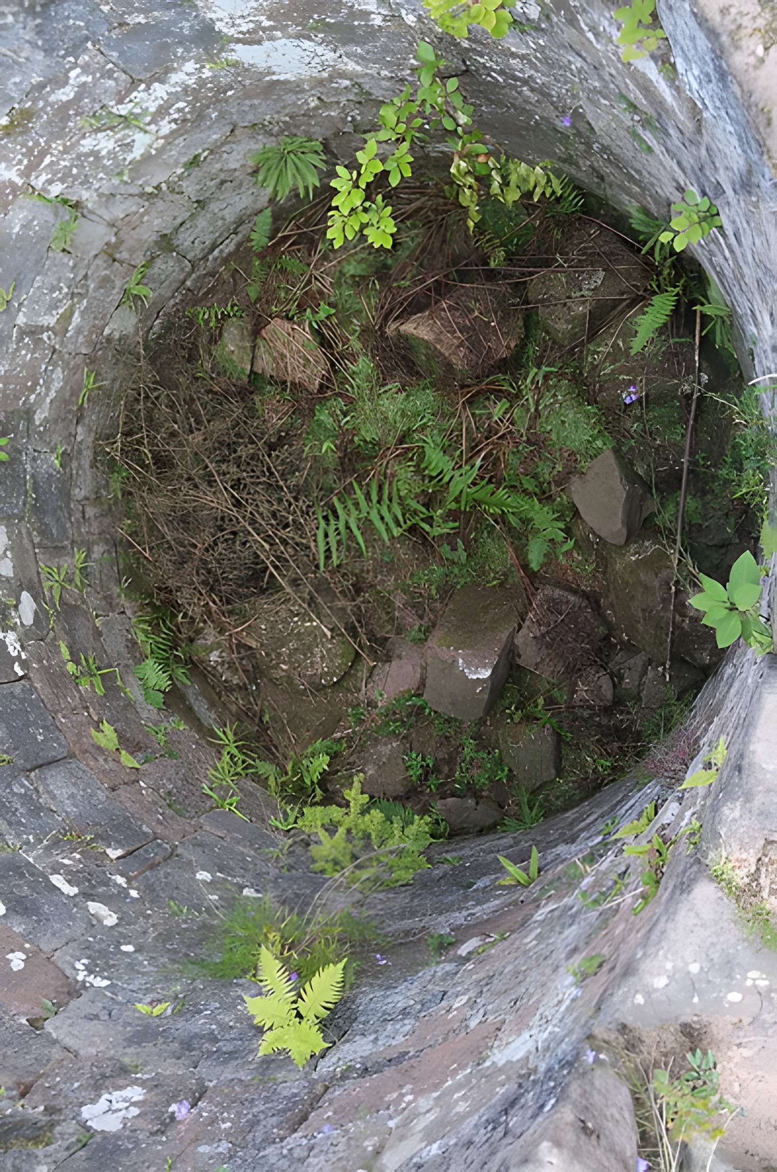 Château de Dreistein