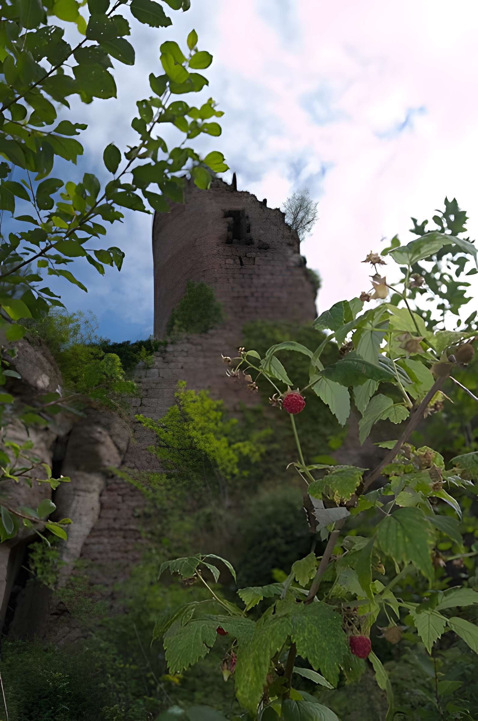 Château de Dreistein