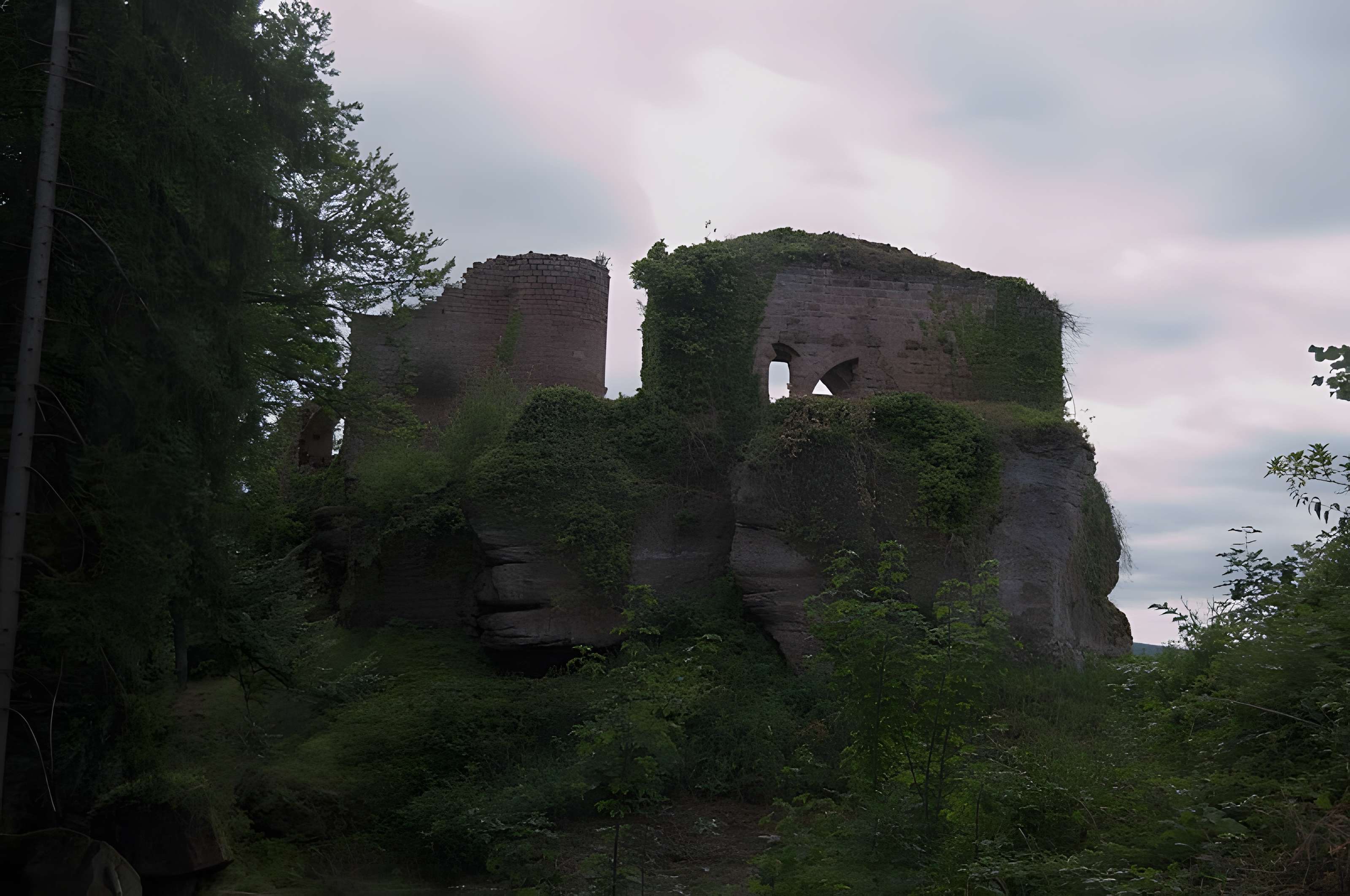 Château de Dreistein