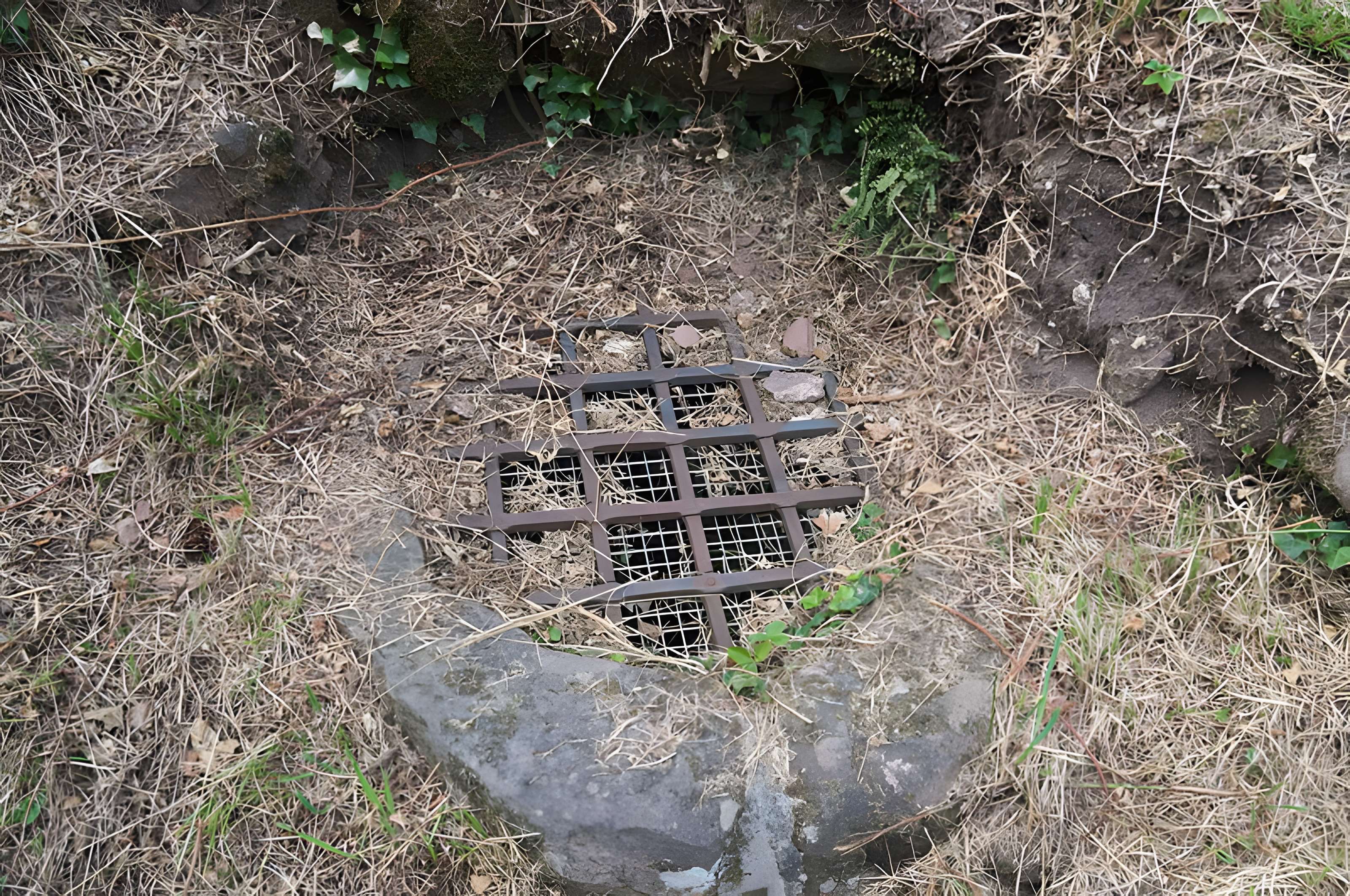 Château de Dreistein