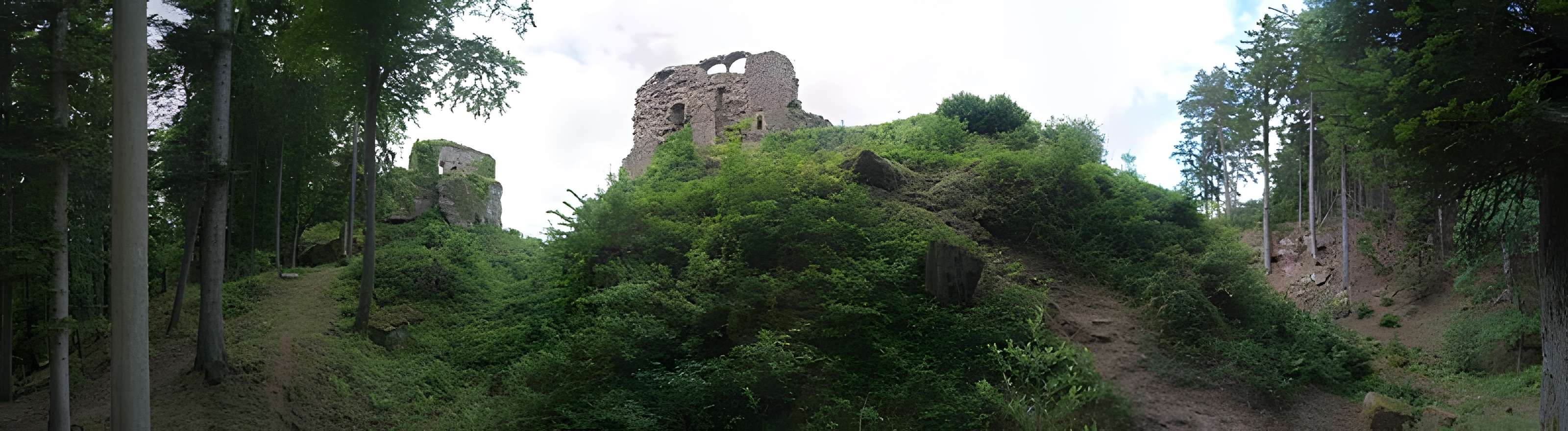 Château de Dreistein