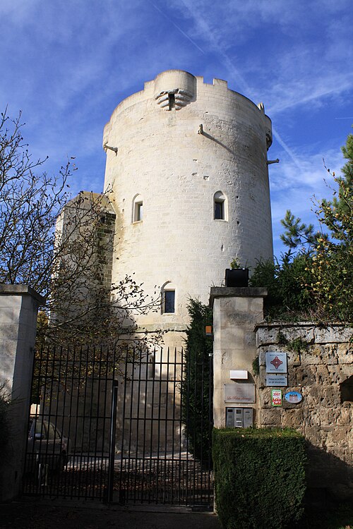Photo de Château de Droizy