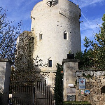 chateau de droizy