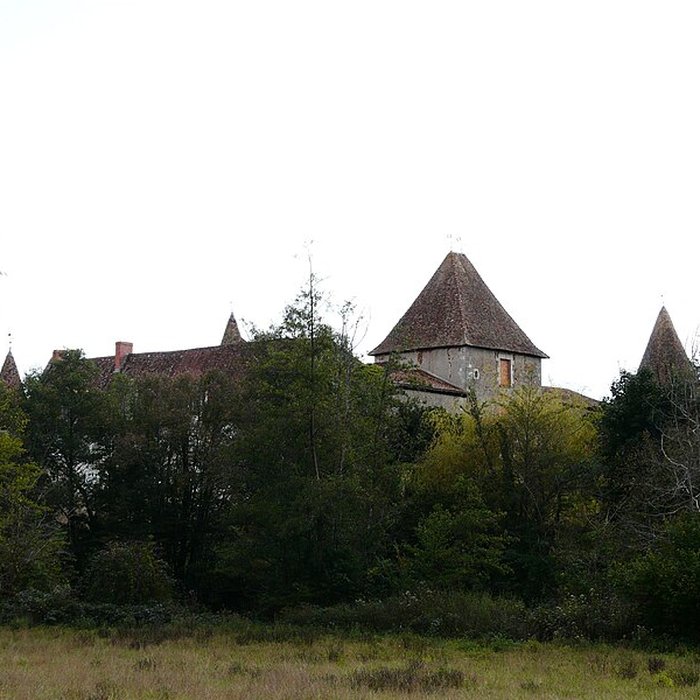 Photo de Château de Ferrières à Montbron