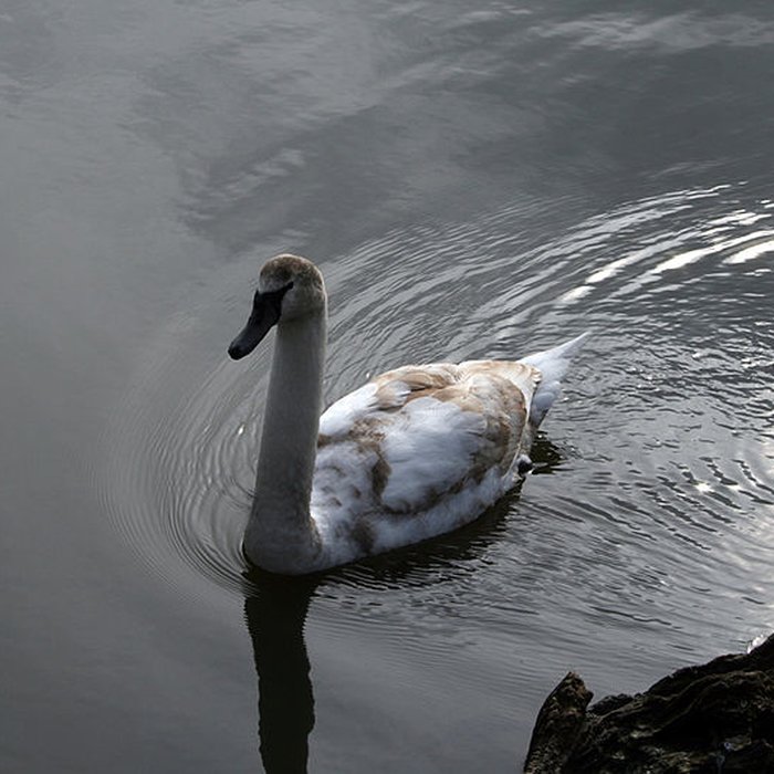 Photo de Château de la Ferté-Vidame