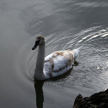Château de la Ferté-Vidame