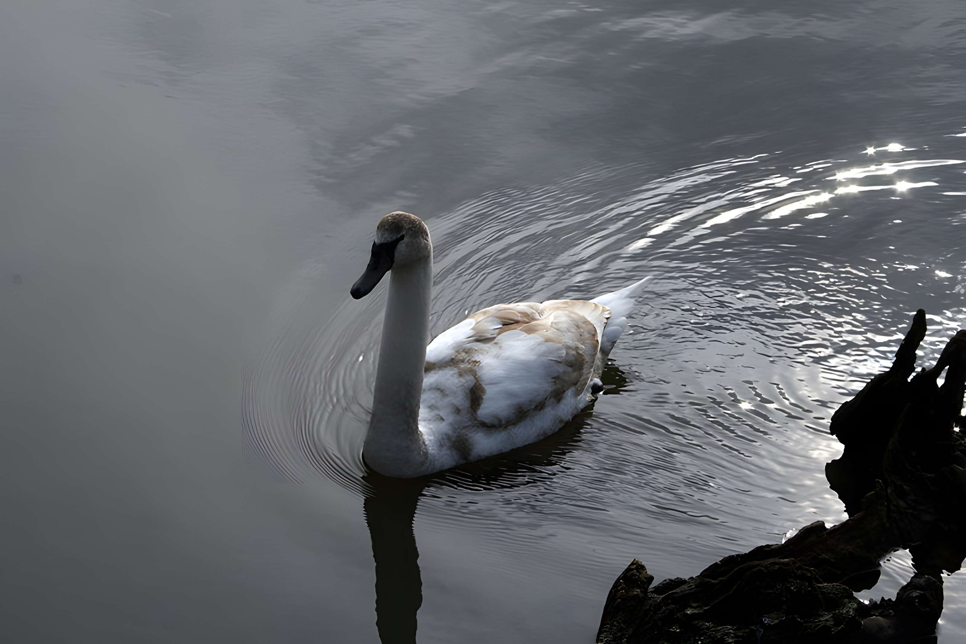 Château de la Ferté-Vidame