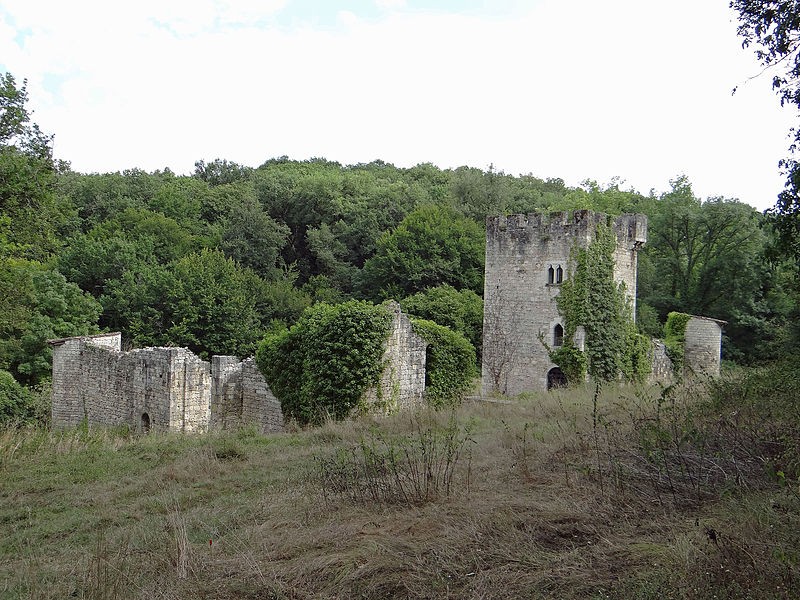 Photo de Château de Fontirou