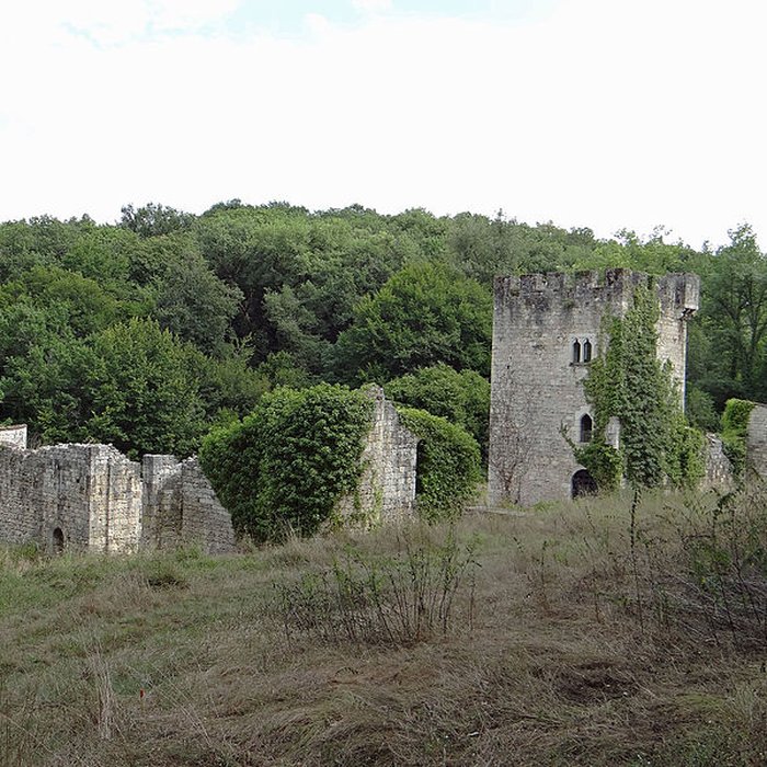 Photo de Château de Fontirou
