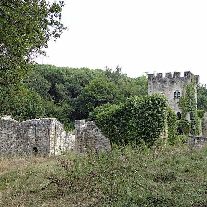Photo de Château de Fontirou