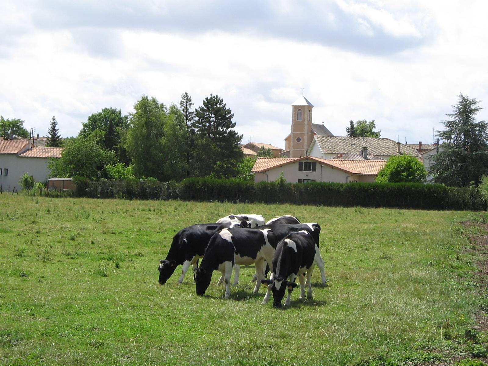 Photo de Chiesa di Saint-Médard de Lezay