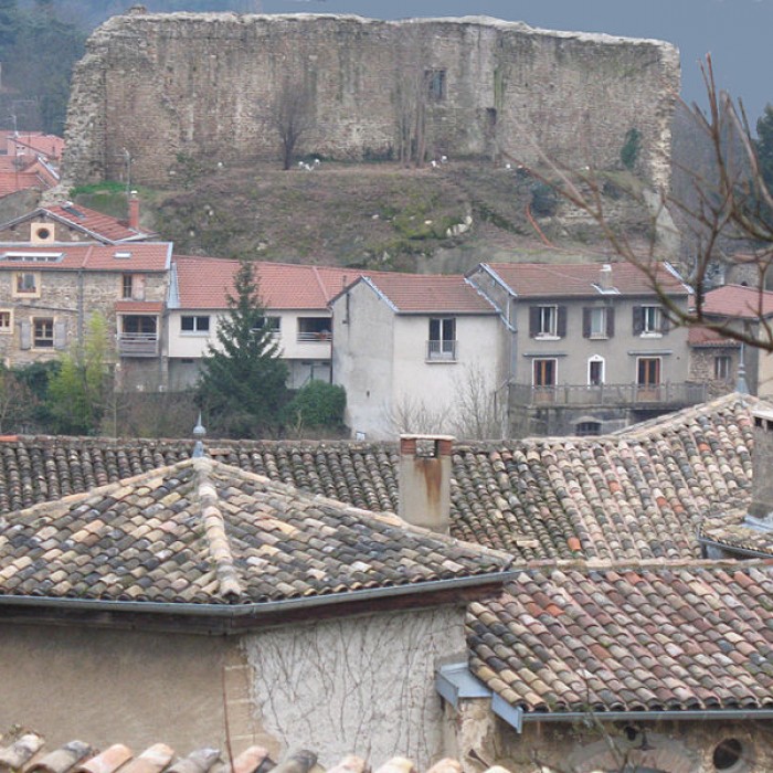 Photo de Château de Francheville