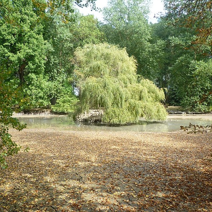 Photo de Château de Francs