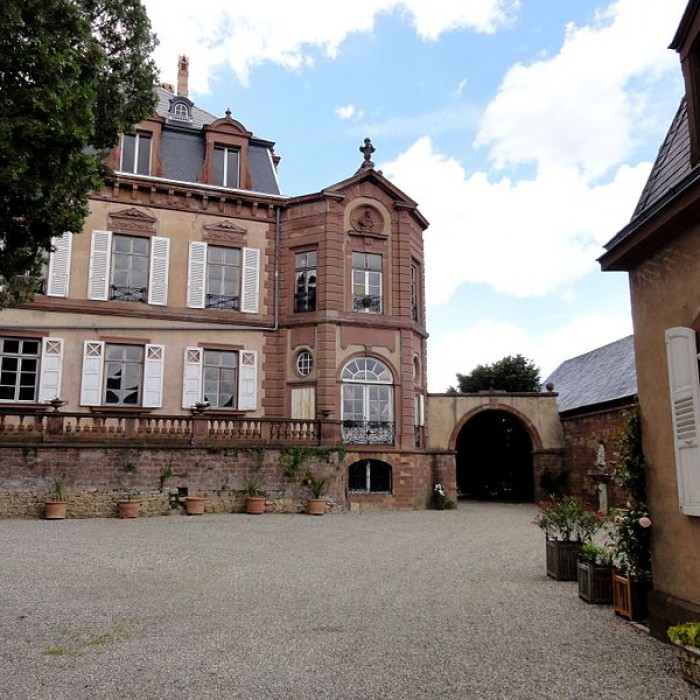 Photo de Château de Froeschwiller