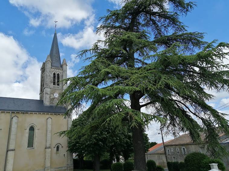 Photo de Église Saint-Vincent de Sansais
