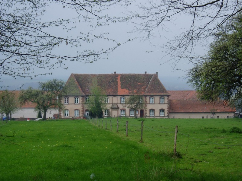 Photo de Château de Gendersberg