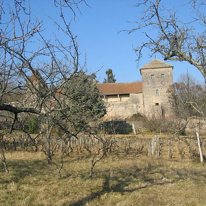 Photo de Château de Gevrey-Chambertin