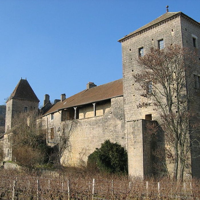 Photo de Château de Gevrey-Chambertin