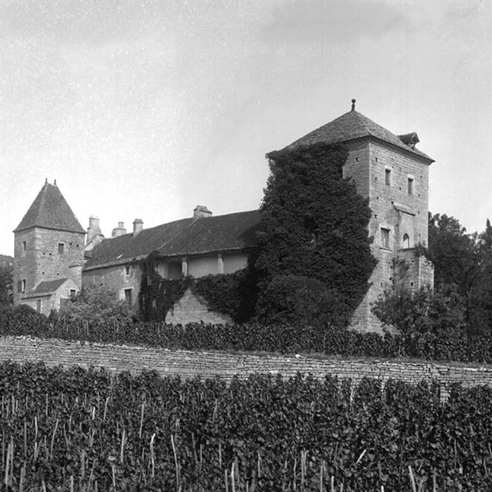 Photo de Château de Gevrey-Chambertin
