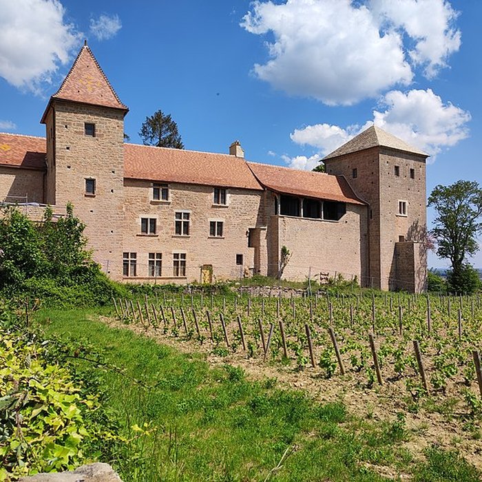 Photo de Château de Gevrey-Chambertin