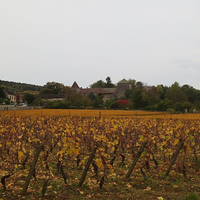 Photo de Château de Gevrey-Chambertin