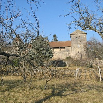 Château de Gevrey-Chambertin