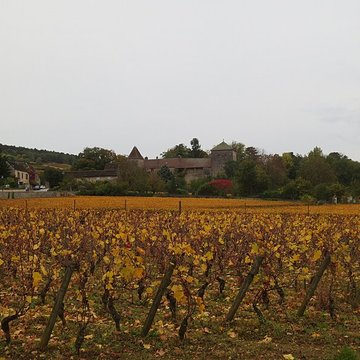 Château de Gevrey-Chambertin