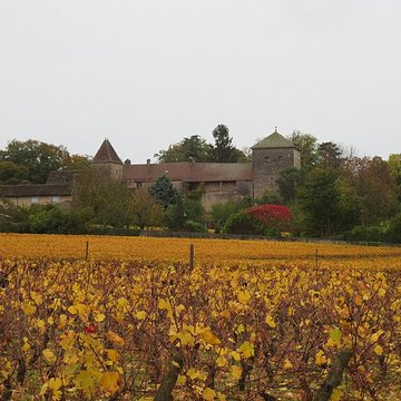 Château de Gevrey-Chambertin