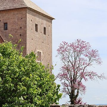 Château de Gevrey-Chambertin