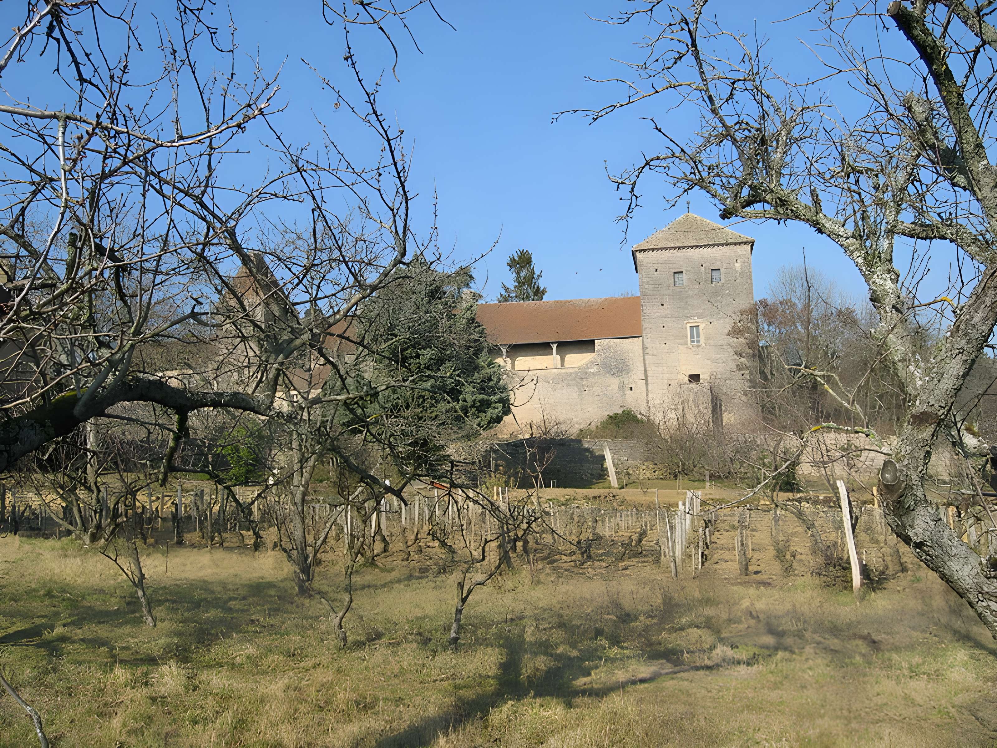 Château de Gevrey-Chambertin