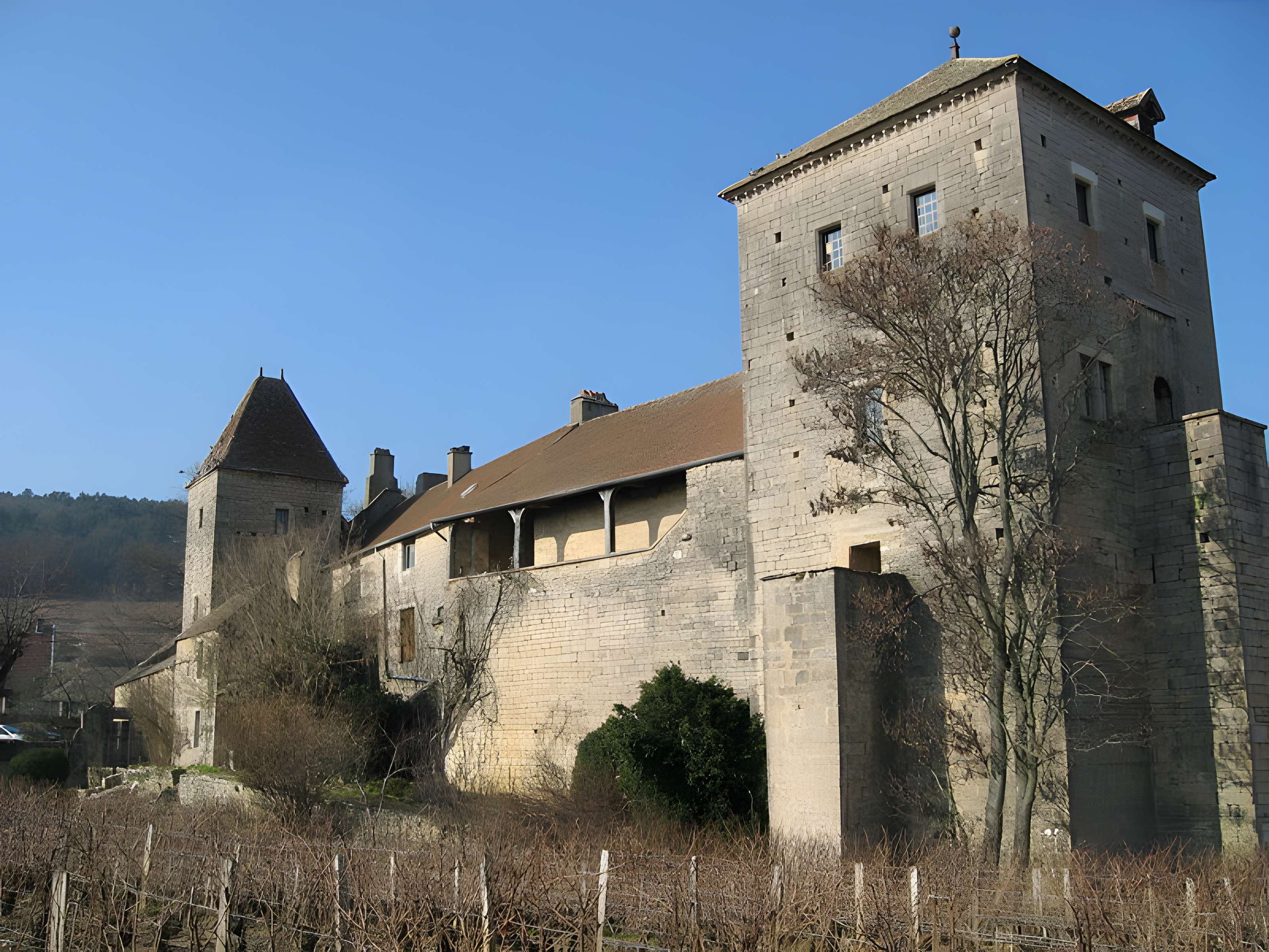Château de Gevrey-Chambertin