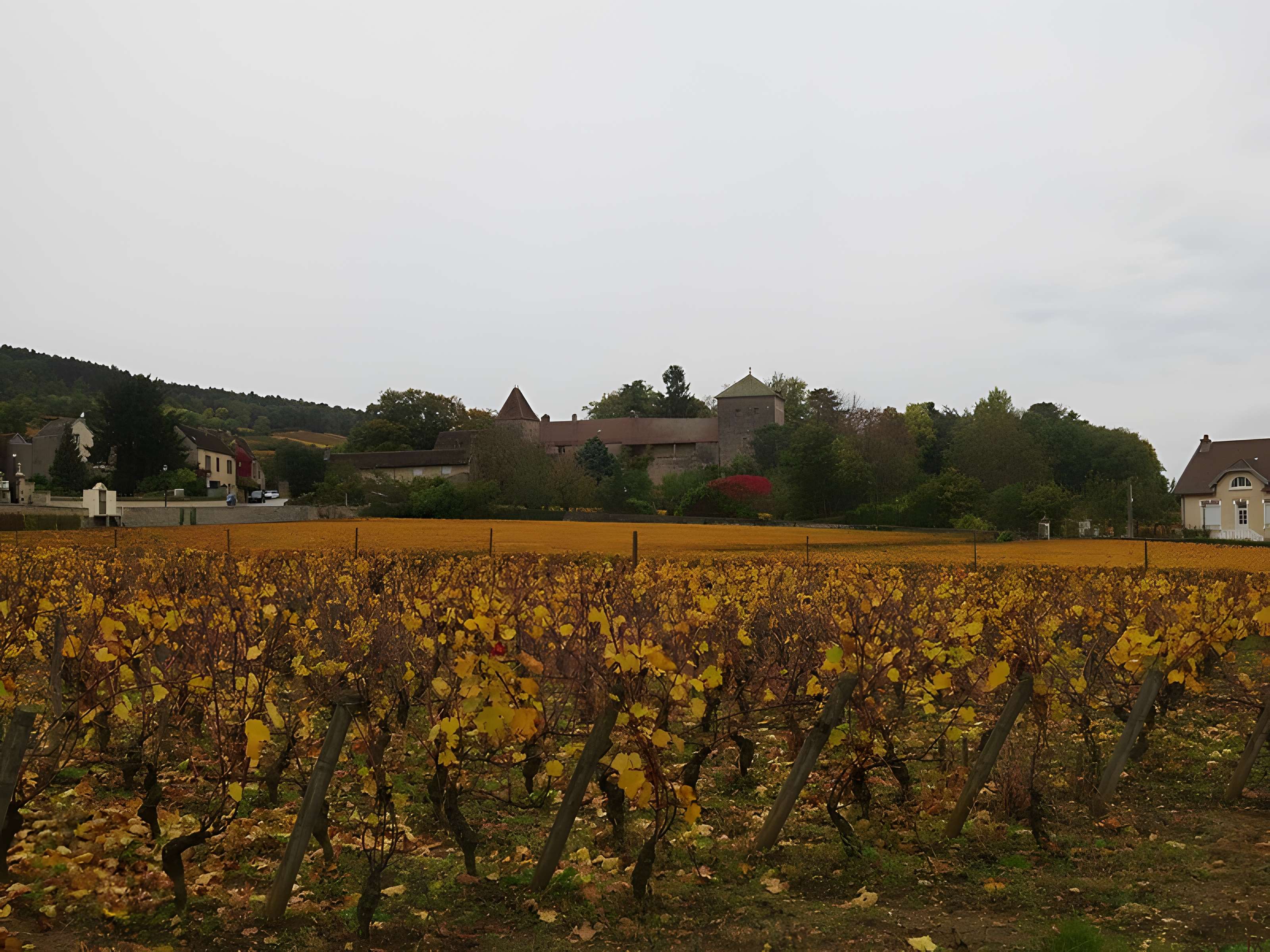 Château de Gevrey-Chambertin