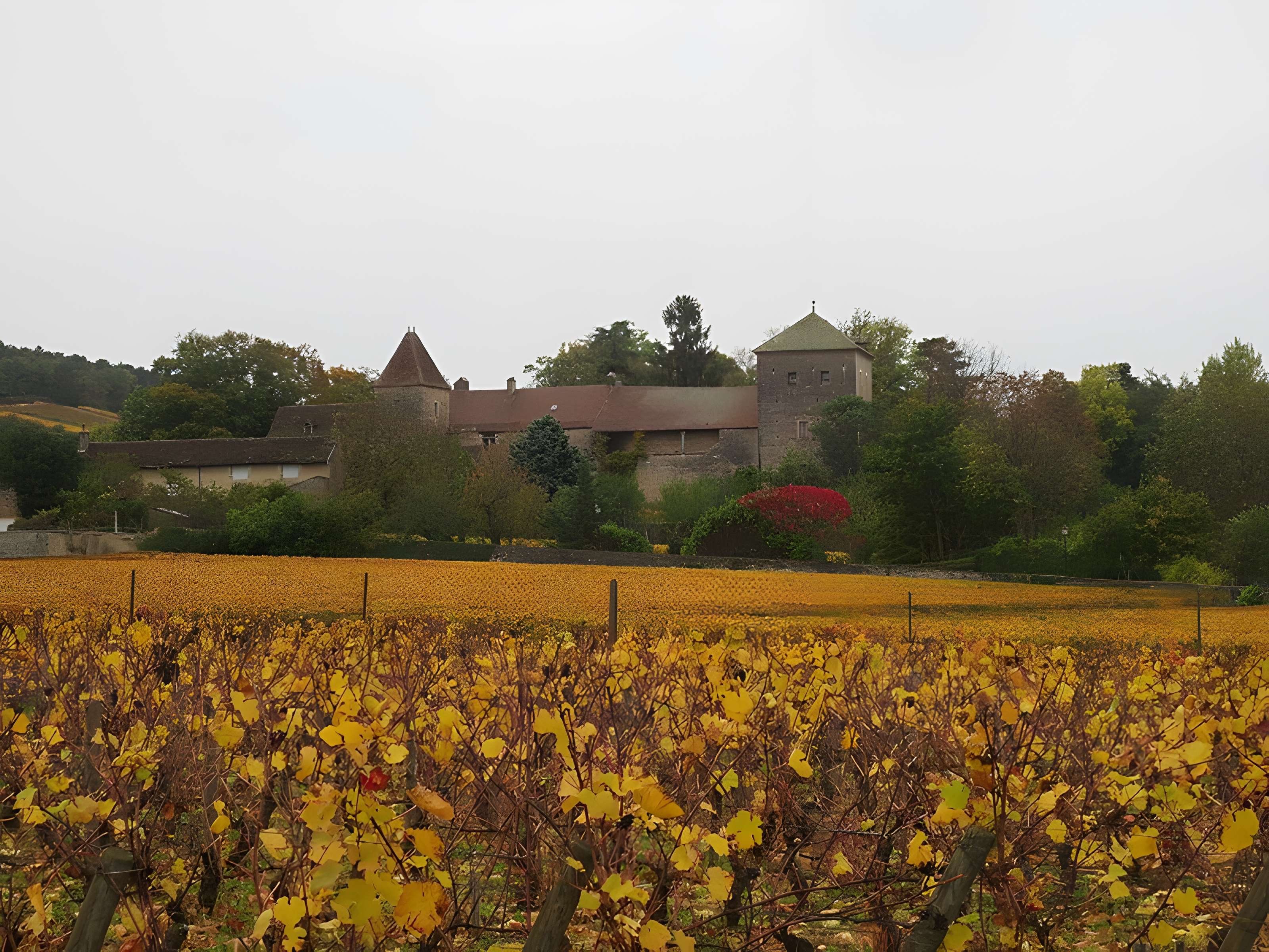 Château de Gevrey-Chambertin